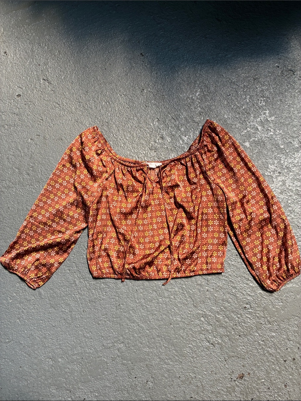 Pink Rose Brown Daisy Floral Crop Top